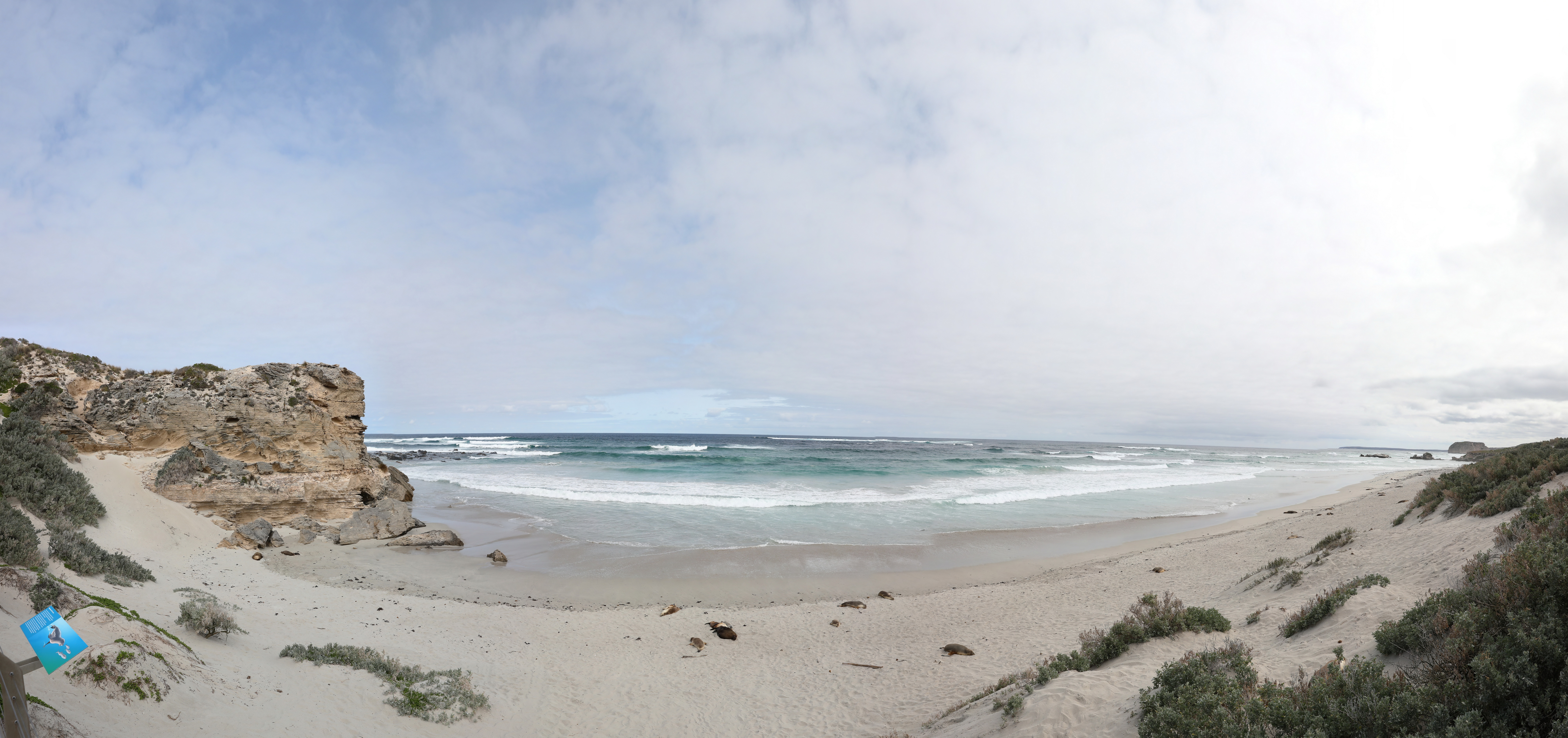 2019 09 29 14 08 17 Canon EOS 5D Mark IV 0045